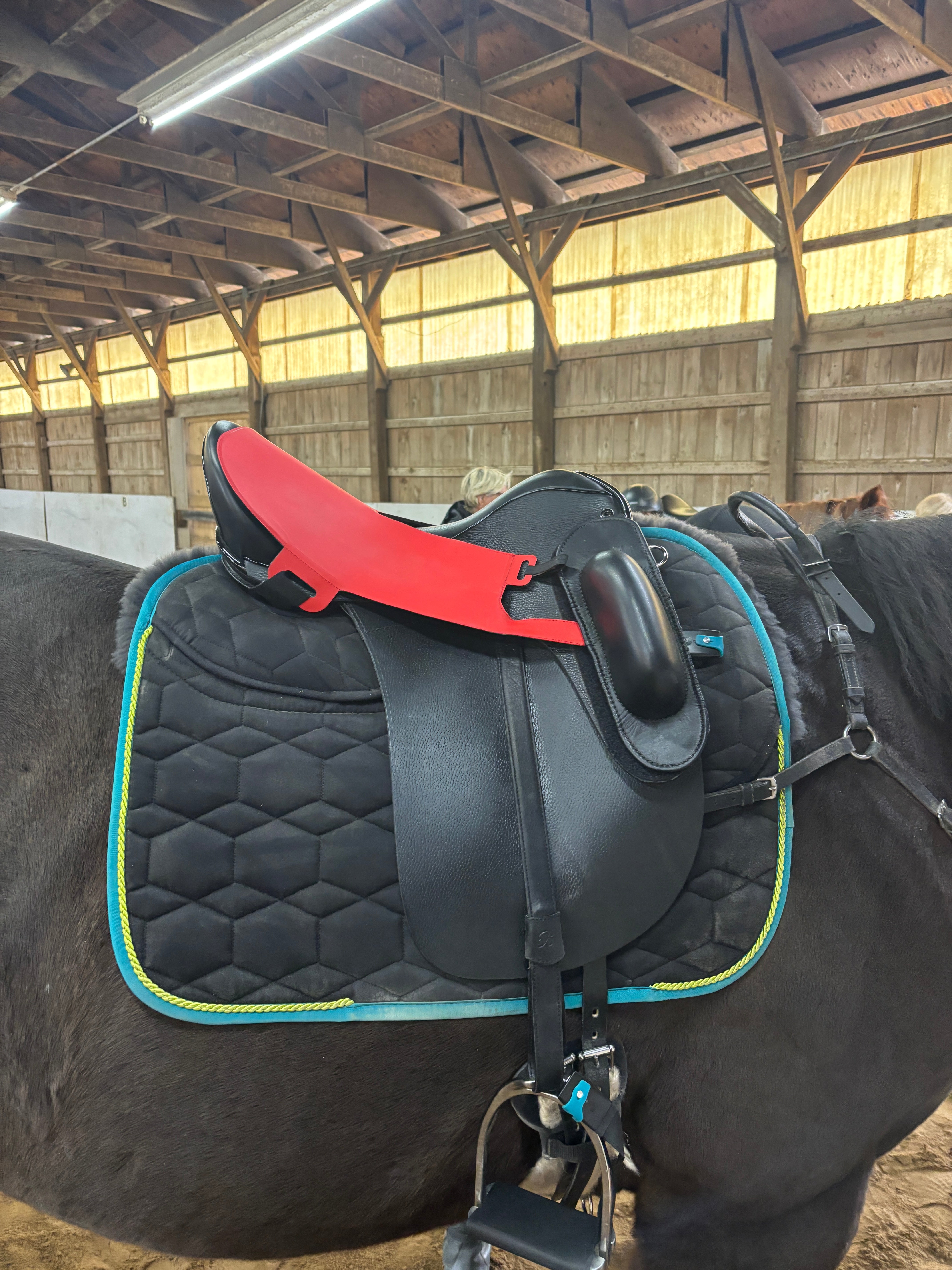 Novel Sensor Rider Biomechanics