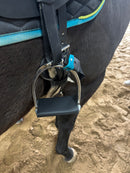 Saddle Sensor Clinic/Lesson Pre-Sale